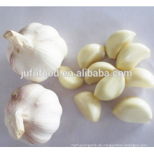 IQF gefrorene geschälte Knoblauch-Nelken-Glas-Verpackung